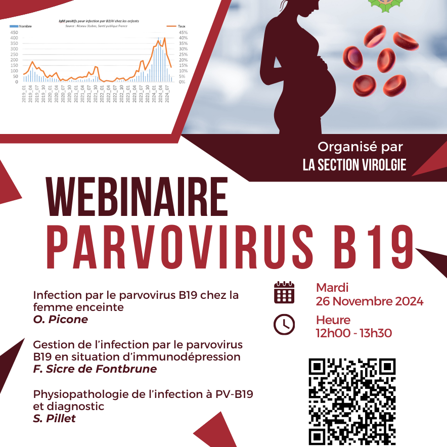 WEBINARS (46)